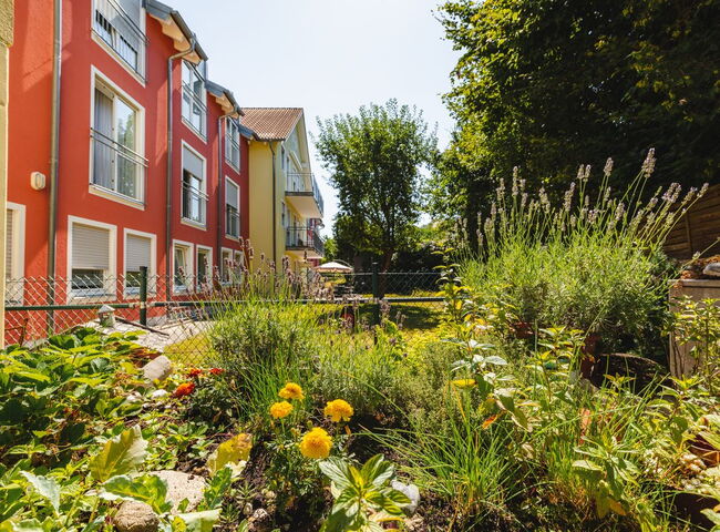 Blumengarten mit Kräutern